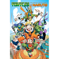Teenage Mutant Ninja Turtles X Naruto - Paperback