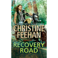 Recovery Road - Library Binding