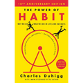 The Power of Habit: Why We Do What We Do in Life and Business - Paperback