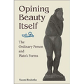 Opining Beauty Itself: The Ordinary Person and Plato's Forms - Paperback