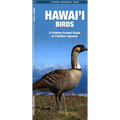 Hawai'i Birds, 2nd Ed: A Folding Pocket Guide to Familiar Species - Paperback