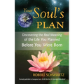 Your Soul's Plan: Discovering the Real Meaning of the Life You Planned Before You Were Born - Paperback
