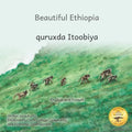 Beautiful Ethiopia: The Diverse Ecosystems of East Africa in Somali and English - Paperback
