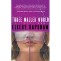 Three Walled World - Paperback