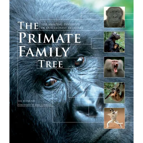 The Primate Family Tree: The Amazing Diversity of Our Closest Relatives - Paperback