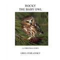 Rocky the Baby Owl - Paperback