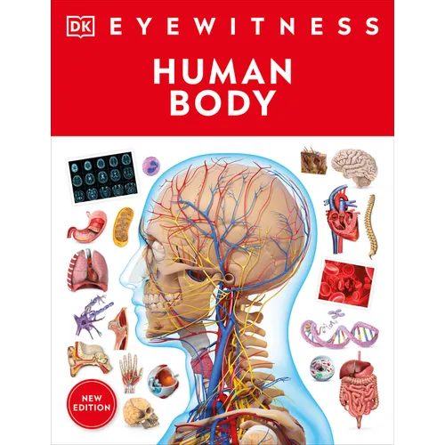 Eyewitness Human Body - Paperback