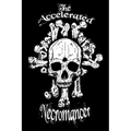 The Accelerated Necromancer - Paperback