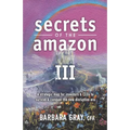 Secrets of the Amazon III: A strategic map for investors & CEOs to survive & conquer the new disruptive era - Paperback
