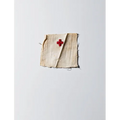 Henry Leutwyler: International Red Cross & Red Crescent Museum - Hardcover