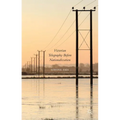 Victorian Telegraphy Before Nationalization - Hardcover