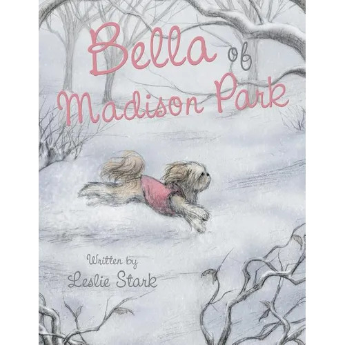 Bella of Madison Park - Paperback