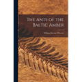 The Ants of the Baltic Amber - Paperback