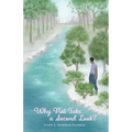 Why Not Take a Second Look? - Paperback