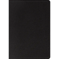 ESV Large Print Wide Margin Bible (Black) - Leather
