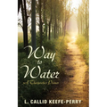 Way to Water: A Theopoetics Primer - Hardcover