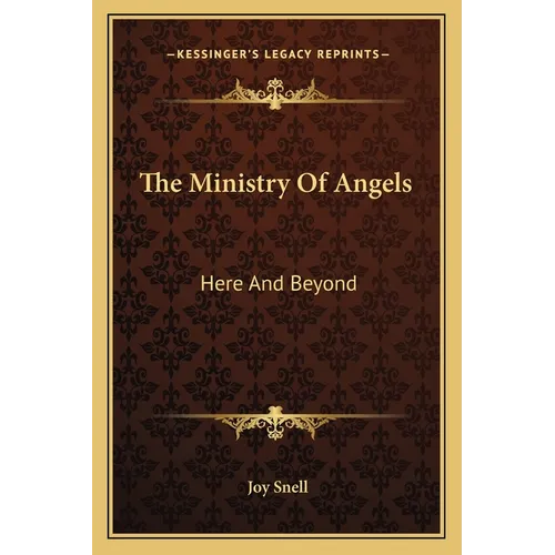 The Ministry Of Angels: Here And Beyond - Paperback