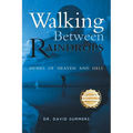 Walking Between Raindrops: Memes of Heaven and Hell - Paperback
