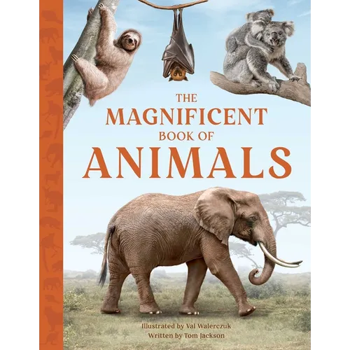 The Magnificent Book of Animals - Hardcover