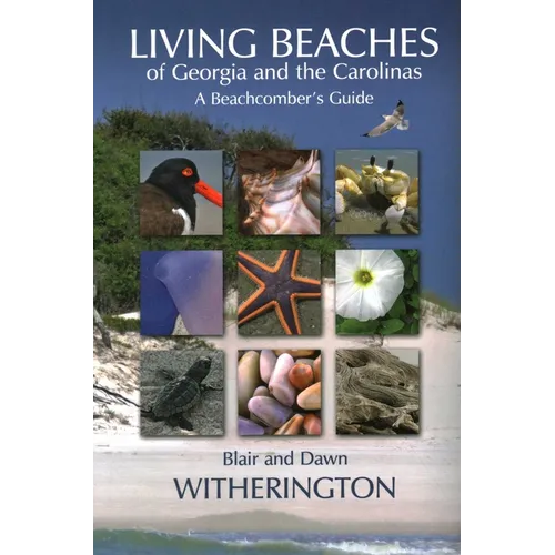 Living Beaches of Georgia and the Carolinas: A Beachcomber's Guide - Paperback