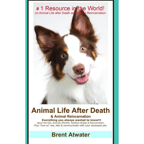 Animal Life After Death & Animal Reincarnation: Pet Loss Answers for all your heart's Questions! - Paperback