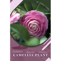 Camellia Plant: Prodigy Petal, Plant Guide - Paperback