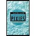 Fool the World: The Oral History of a Band Called Pixies - Paperback