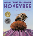 Honeybee: The Busy Life of APIs Mellifera - Paperback