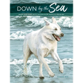Down by the Sea: Draw and Paint with Watercolor, Acrylic, Pen & Ink - Paperback