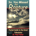 Beyond the Rapture: Guide to the Great Tribulation - Paperback