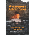 Awareness Adventures: Discovering Your True Nature - Paperback