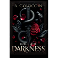 Into the Darkness - Paperback