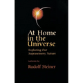 At Home in the Universe: Exploring Our Suprasensory Nature (Cw 231) - Paperback