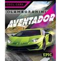 Lamborghini Aventador - Library Binding