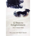 12 Steps to Enlightenment: How It Really Works - Paperback