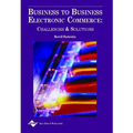 Business to Business Electronic Commerce: Challenges and Solutions - Hardcover