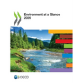 Environment at a Glance 2020 - Paperback