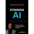 Steering AI: How can we give artificial intelligence a purpose? - Paperback