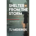 Shelter From The Storm: A Terry Eckhart Detective Novel - Paperback