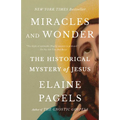 Miracles and Wonder: The Historical Mystery of Jesus - Paperback