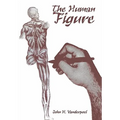 The Human Figure - Paperback