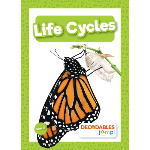 Life Cycles - Paperback