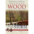 Peace Before the Second Storm: A Story of the Civil War - Paperback