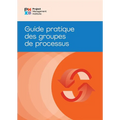 Process Groups: A Practice Guide (French) - Paperback
