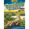 Grassland Life Connections - Paperback