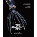 The Radiant Sea: Color and Light in the Underwater World - Hardcover