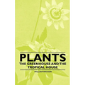 Plants - The Greenhouse and the Tropical House - Paperback