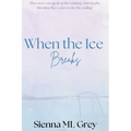When the Ice Breaks - Paperback