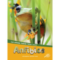 Anfibios: Amphibians - Paperback
