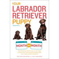 Your Labrador Retriever Puppy Month by Month, 2nd Edition: Everything You Need to Know at Each Stage of Development - Paperback